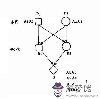 3、某個致病基因a頻率0.，求隨機婚配與親緣近親婚配，患兒出生率分別為多少？