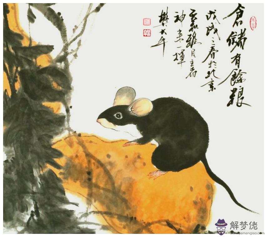 2、66屬龍婚配72屬鼠可以嗎:六五年屬龍和七二年屬鼠的婚配好嗎？