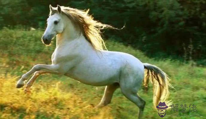 2、生肖馬和屬馬的婚配好不好:屬馬男和屬馬女在一起合適嗎？相克嗎？？