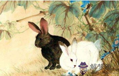 7、屬兔的屬相婚配表，屬兔的和什麼屬相最配，屬兔的屬相婚配表大全