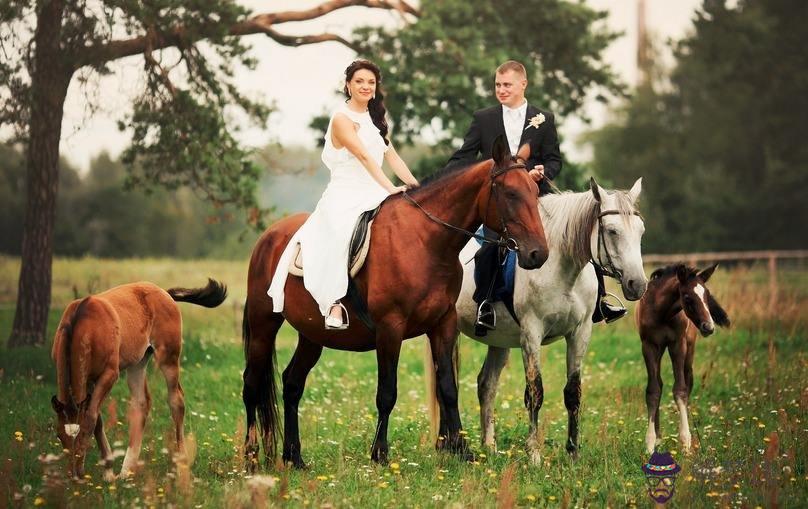 5、屬猴女跟屬馬男的婚配好嗎:屬猴女和屬馬男的婚姻能長久嗎