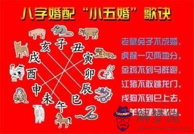 3、蛇與羊婚配蛇與猴合適嗎:蛇和猴配嗎