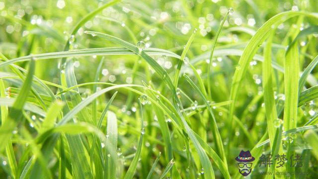 找八字中算命日干癸酉天干