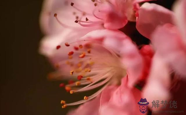 八字命理七殺無治 八字命理七殺無治