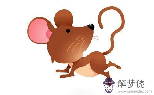 2、屬相婚配牛配鼠可以嗎:牛和鼠相配婚姻如何
