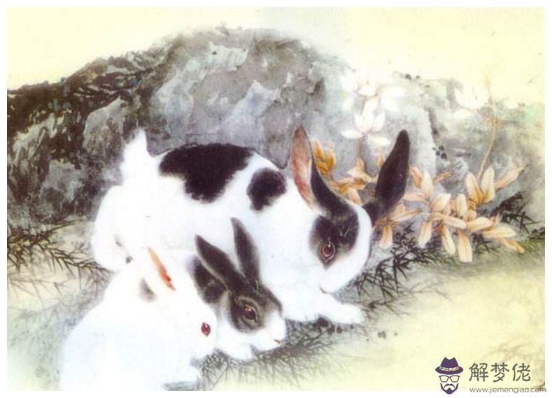6、女兔不能和什麼屬相婚配:女屬兔的婚姻和什麼相配