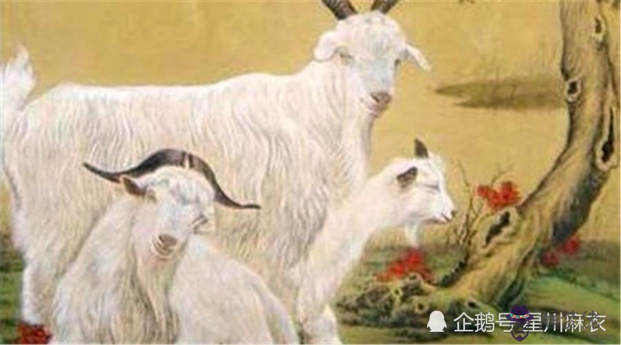 1、男屬羊女的婚配怎麼樣**:您好！請問64的男和屬羊女的婚配好嗎？