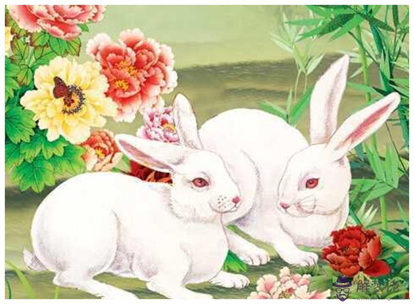 1、屬兔的人婚配屬什麼屬相最合適:屬兔的人和什麼屬相最配 屬兔的人的屬相婚配