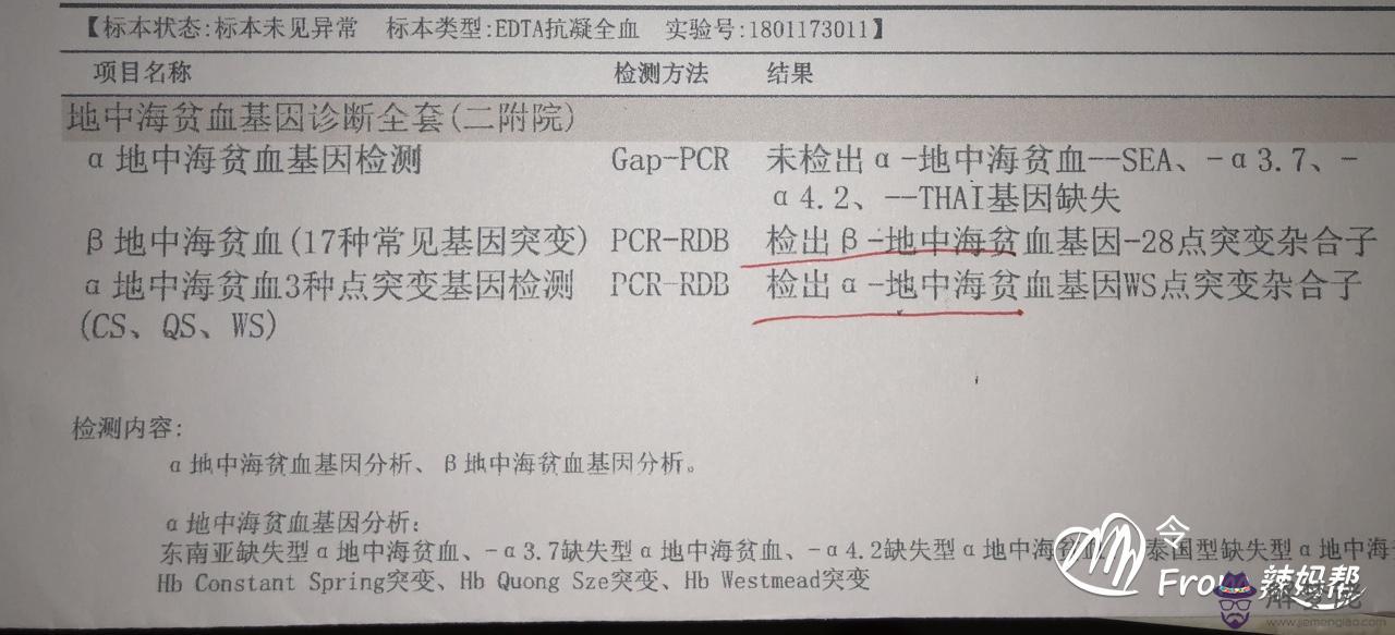 5、同型a地貧靜止型和標準型婚配:什麼是靜止型α地中海貧血基因攜帶者