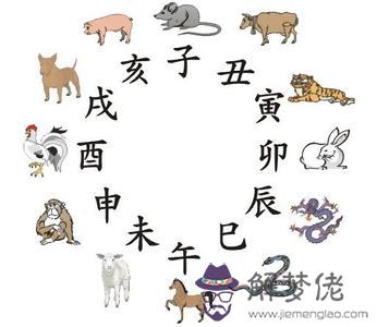 2、十二生肖婚配表:生肖配對查詢表