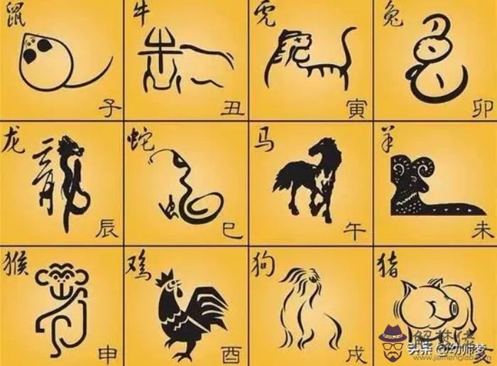4、兩個屬兔的人婚配指數:屬兔的屬相婚配表 屬兔的人與哪個生肖最配
