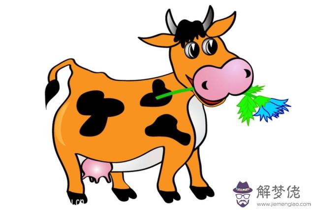 1、男牛婚配什麼生肖合適嗎:牛和什麼屬相相配