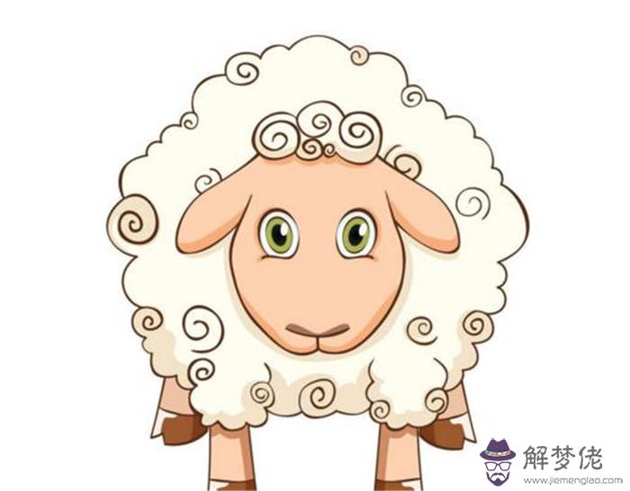 3、羊男和上等婚配的區別:羊男是上等婚配嗎