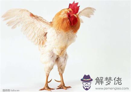 3、屬狗跟屬雞的人能婚配嗎:請問屬狗能和屬雞的配婚嗎？