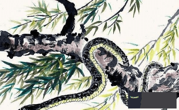 4、兄弟倆人同一個屬相怎麼樣:請問人的屬相真的與人的性格和命運有關系嗎?
