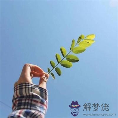 2、男人帶來財運微信昵稱:男人一生好運網名