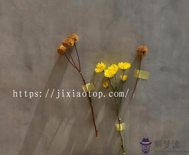 天秤座與天蝎座的友情，天蝎和天秤座友情指數