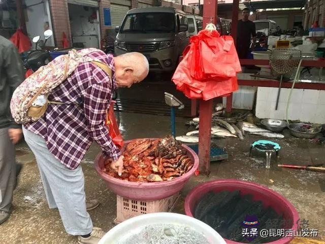 深圳大鵬觀音山公園看相八字