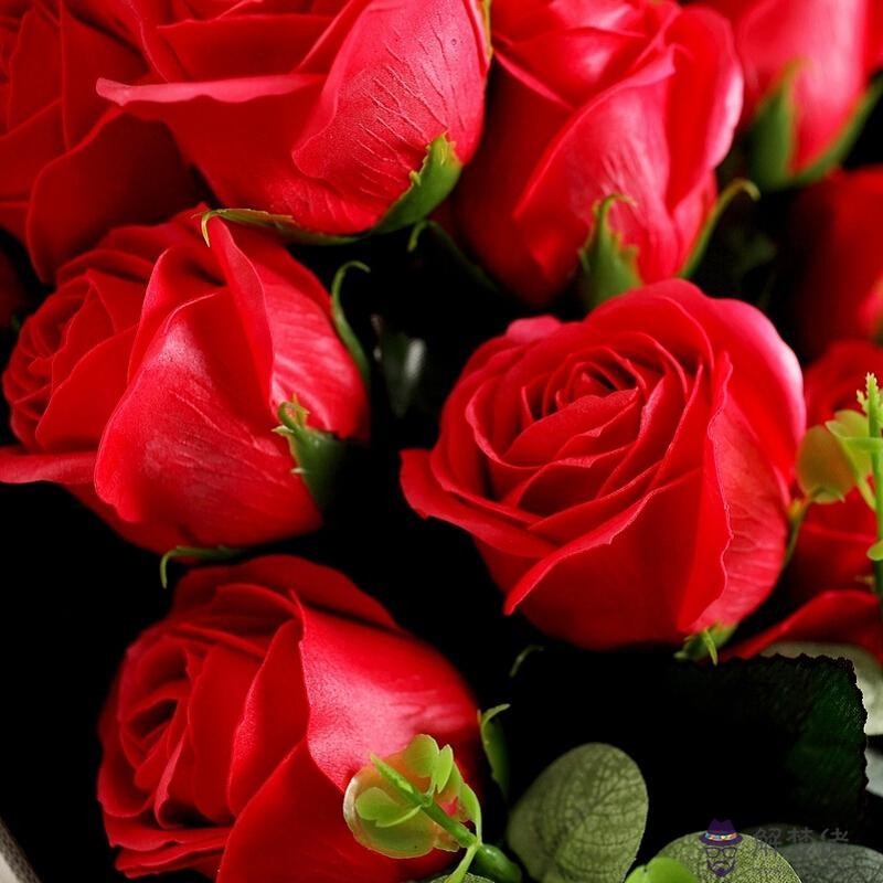 結婚紀念日送多少朵玫瑰花：結婚十周年紀念日送多少朵花合適？