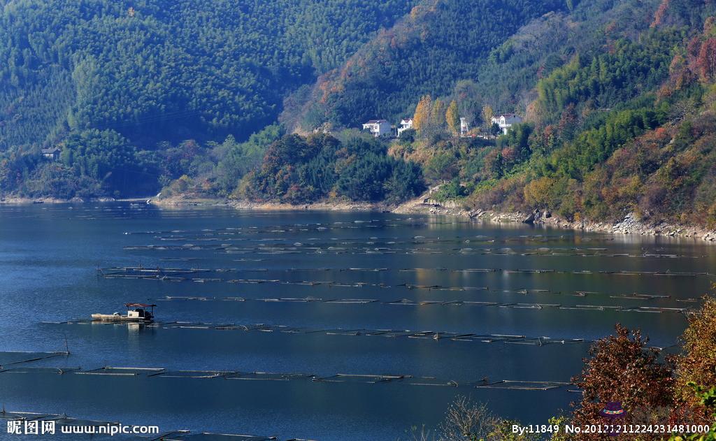 同事生日可以發個紅包嗎：同事過生日，發微信紅包多少合適？