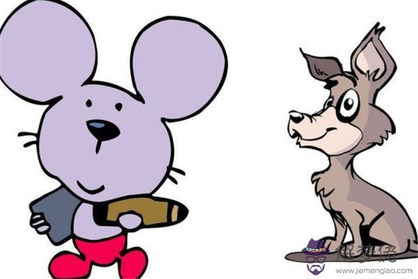 屬老鼠和屬狗的結合會怎麼樣：屬鼠和屬狗的相配嗎？在一起能幸福嗎？
