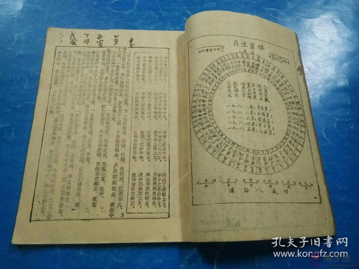 書查子女是絕都是養子嗎：算命：絕有一子或養子。什麼意思？高人指點，拜謝