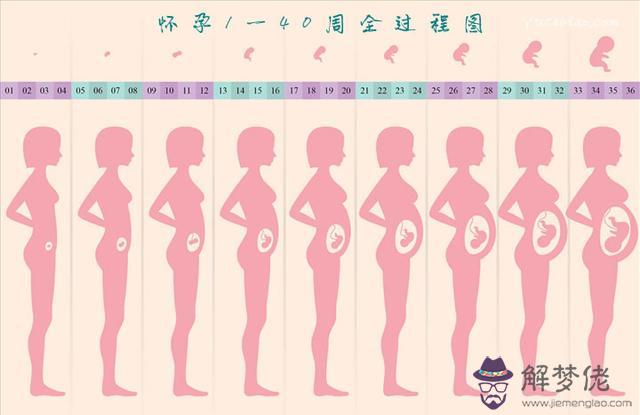 什麼時候不會懷孕