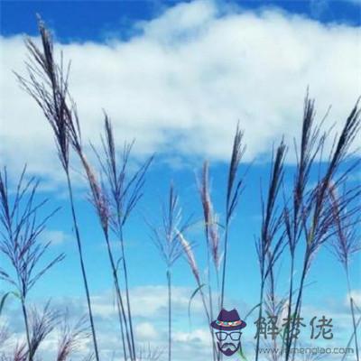 男人招財轉運微信名字：微信男人網名能招財的