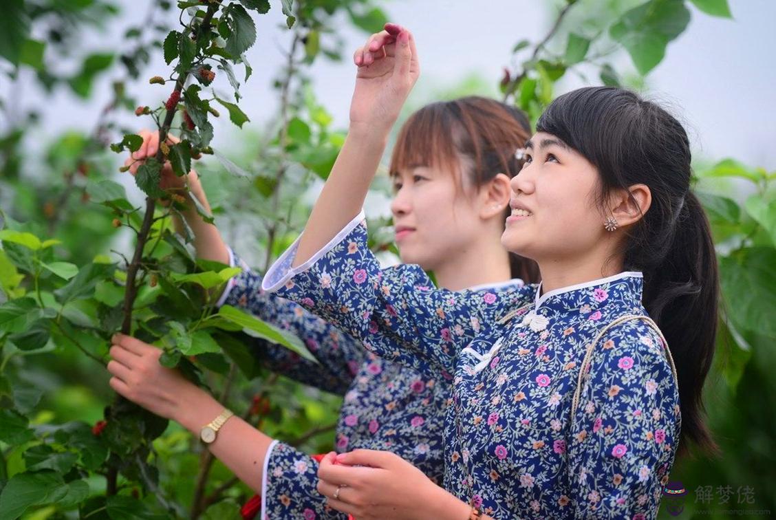 女人夢見好多蠶有活的有死的：夢到很多蠶在自己頭發上地上好像是死的害怕死了