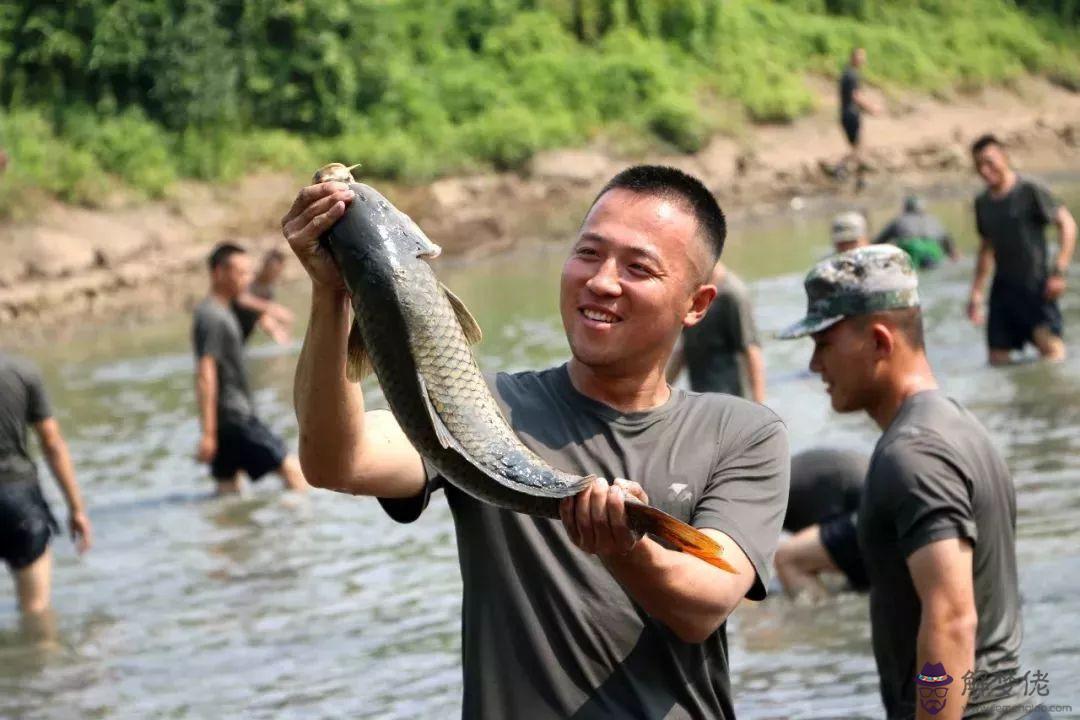 女人夢見徒手抓魚是什麼征兆：女人夢到自己在抓魚