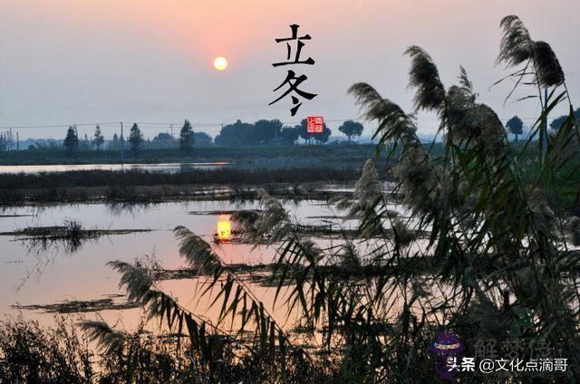 哪種屬相今天不能剃頭