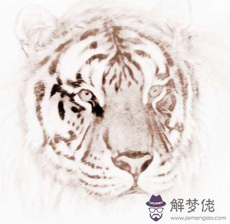 屬虎和屬虎結婚合適嗎：屬虎的能跟屬虎的結婚嗎？