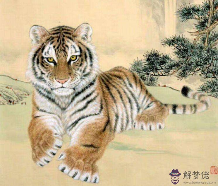 74年屬虎的最佳顏色：74年屬虎的穿什麼顏色的好？