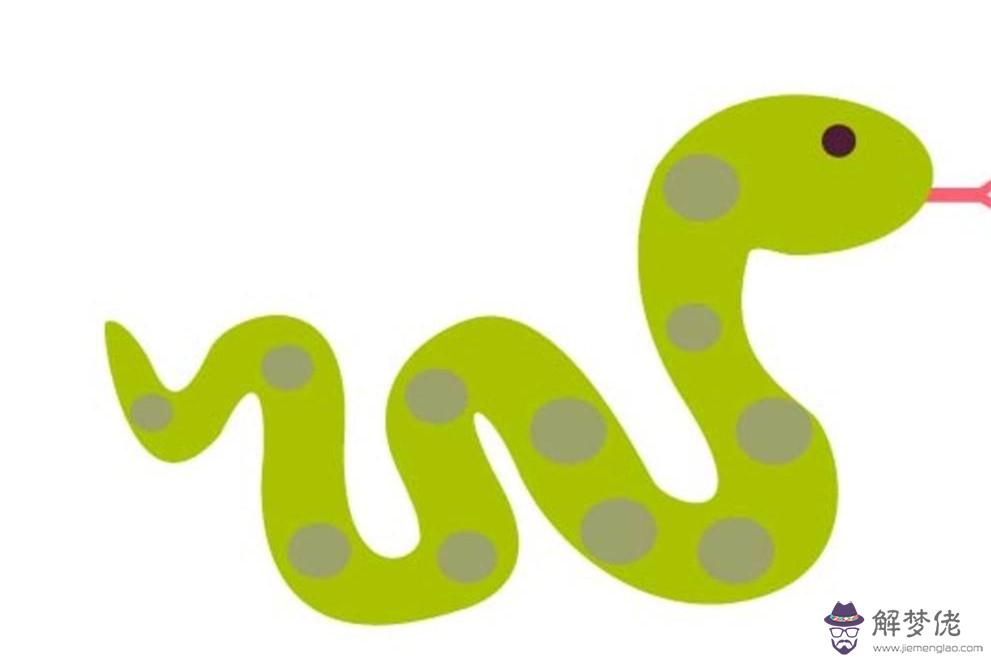 屬蛇的和什麼屬相合作最配：屬蛇和什麼屬相最配