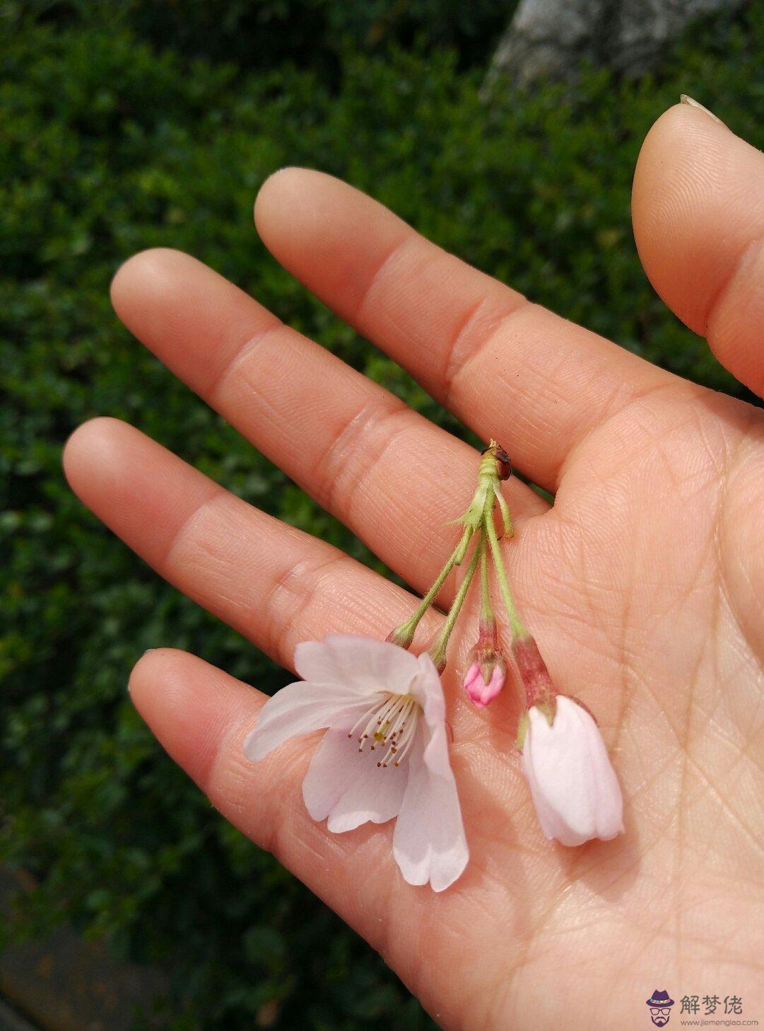 免費測個人婚姻不付費常熟天氣：春節常熟天氣怎麼樣
