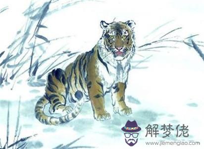 年屬虎的多大：年屬虎寶寶幾月出生最好