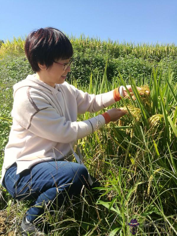 農歷九月二十一：黃道吉日，8月適合結婚的日子有幾天