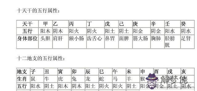 丁的五行屬性是什麼