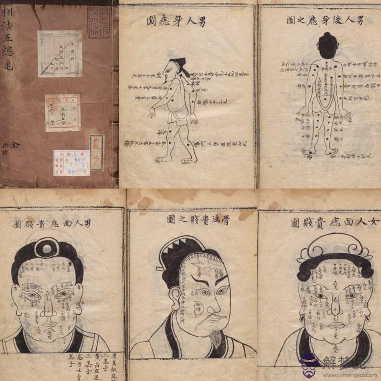 烏龜的五行屬性