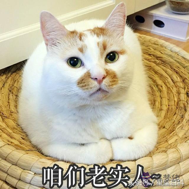 天秤座男生害羞，天秤座男生突然躲著你