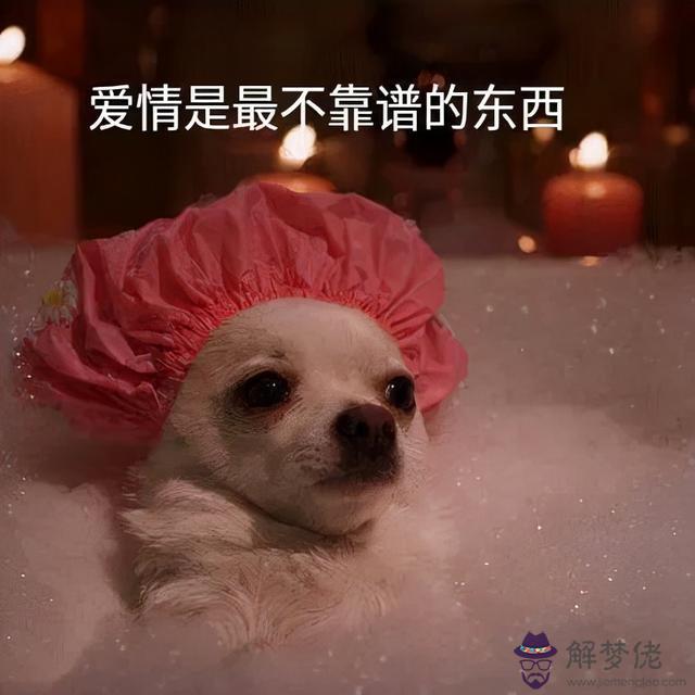 天秤座出軌了我要去見小三麼，天秤座被出軌