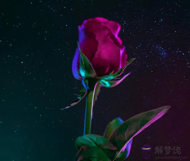 天秤座冷還是摩羯座冷，真正黑化的天秤座