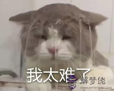 天蝎座幾歲最聰明，天蝎座幾歲最帥