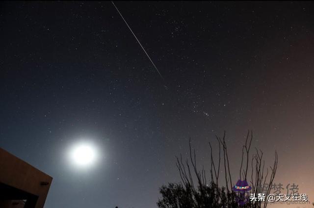 獅子座流星雨2022年，獅子座流星雨真實圖片