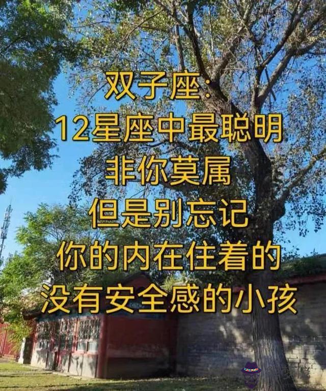 雙子座的孩子聰明嗎，雙子座天生聰明嗎