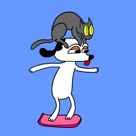 獅子男脾氣好嗎，獅子座變心的征兆