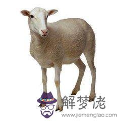 屬龍男和屬羊女相配嗎，屬羊女2022 年運勢