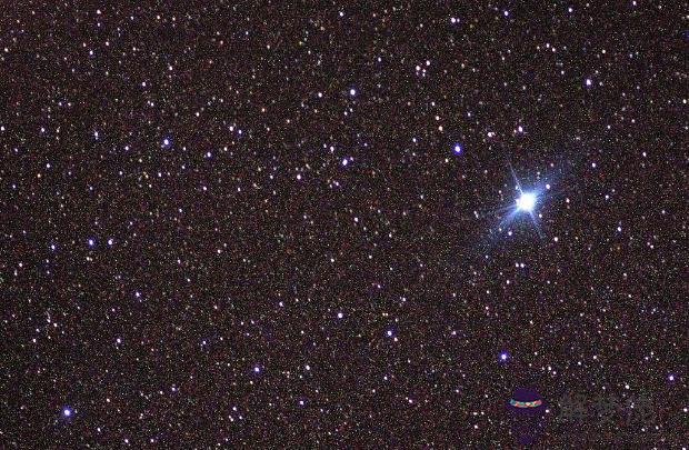 天狼星什麼時候出現，小天狼星什麼時候死的