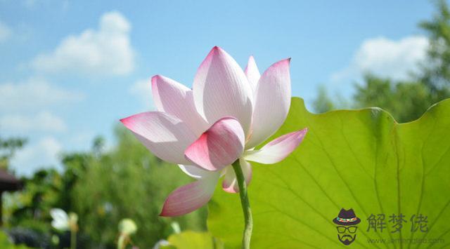 男人一般是什麼星座，哪個星座的男生性格好