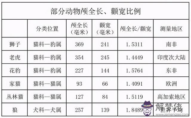 獅子受傷了為什麼會離開，獅群里有幾只公獅子